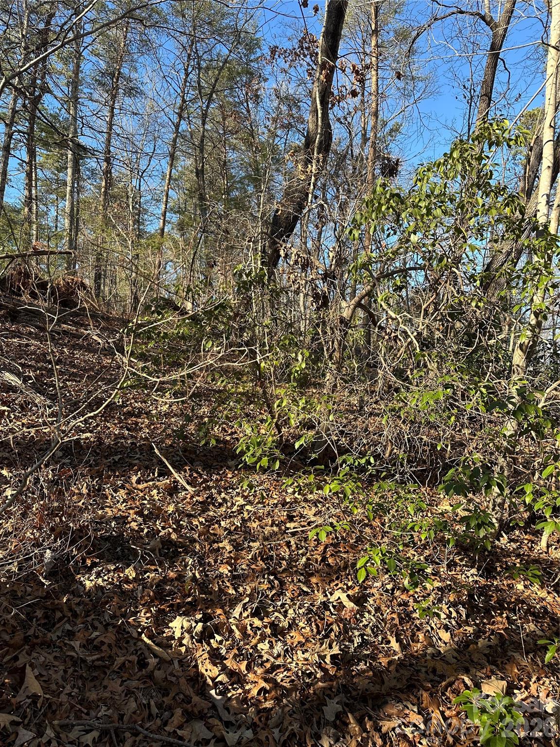 0 Hawkins Lane, Unit 8 Mill Spring, NC 28756 - Photo 6 of 14