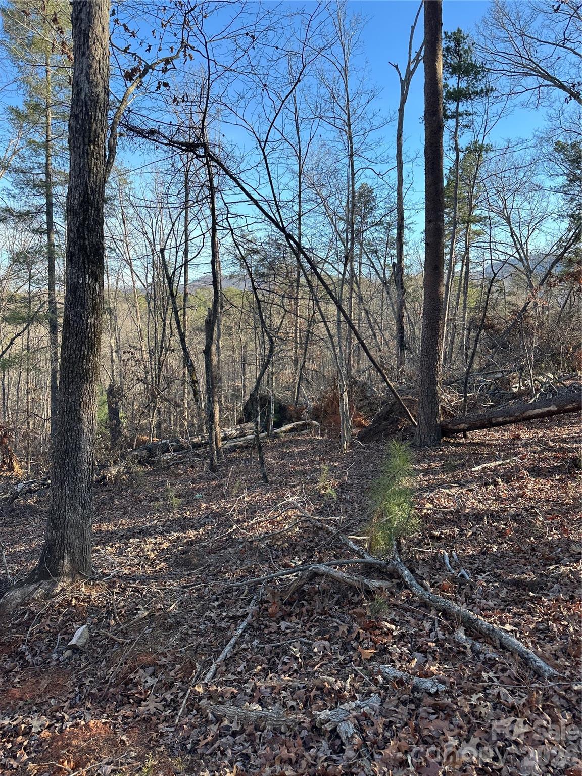 0 Hawkins Lane, Unit 8 Mill Spring, NC 28756 - Photo 7 of 14