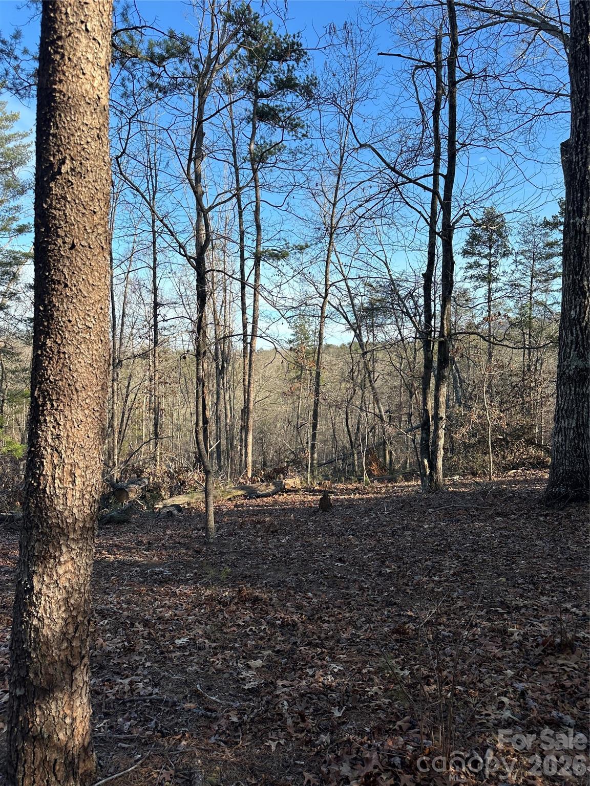 0 Hawkins Lane, Unit 8 Mill Spring, NC 28756 - Photo 8 of 14