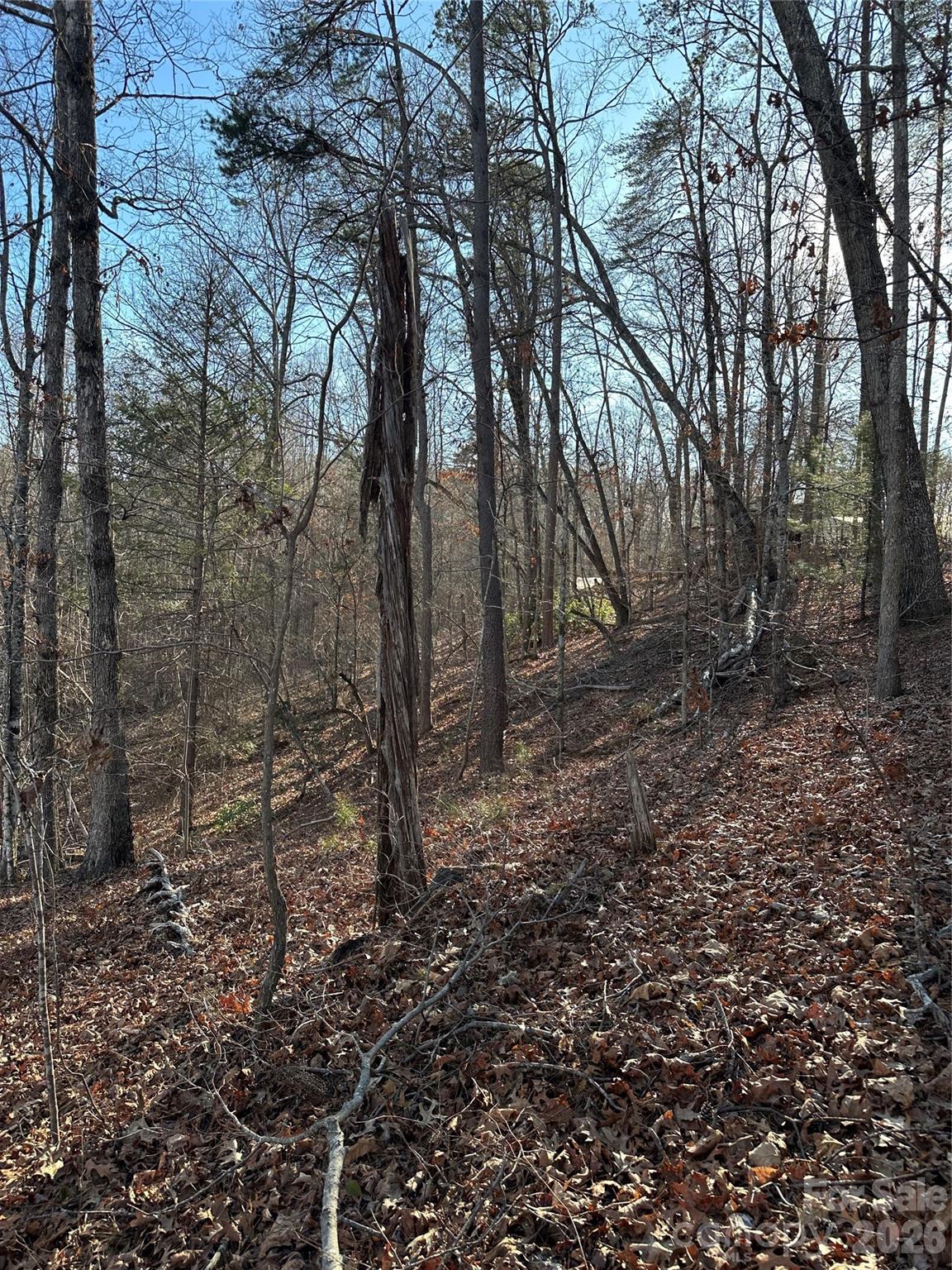 0 Hawkins Lane, Unit 8 Mill Spring, NC 28756 - Photo 9 of 14