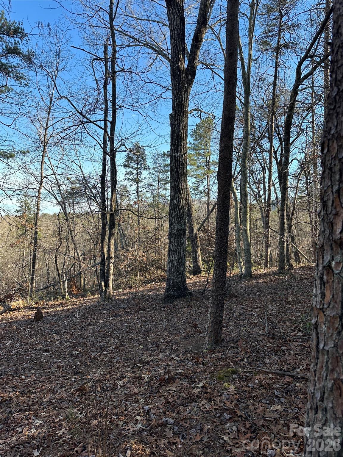 0 Hawkins Lane, Unit 8 Mill Spring, NC 28756 - Photo 10 of 14