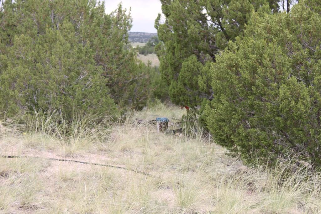 Tbd South Tbd S Waterbarrel Road Beulah, CO 81023 - Photo 20 of 21