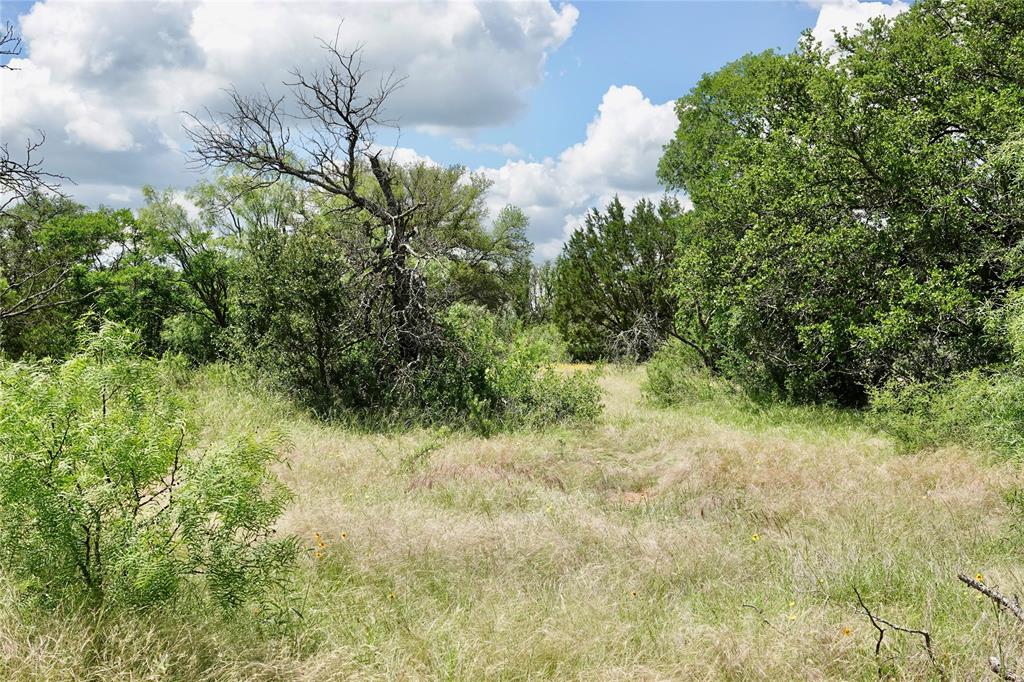 219 C R 550 Mullin, TX 76864 - Photo 20 of 37 a view of a yard with plants and a tree