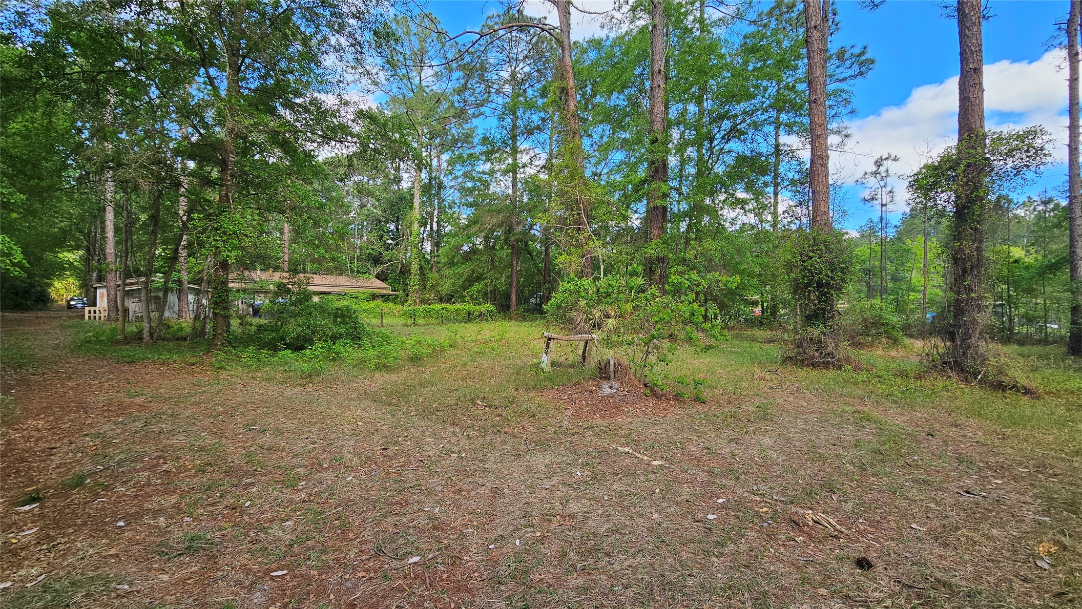6324 Lannie Road Jacksonville, FL 32218 - Photo 35 of 60