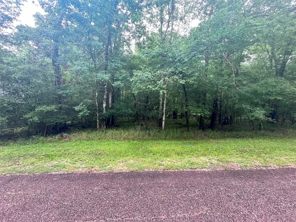 a view of a backyard with a garden
