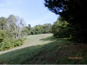 0 Danny Mathes Road, Unit 89 Elizabethton, TN 37643 - Photo 12 of 12 Photo 12