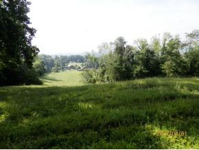 0 Danny Mathes Road, Unit 89 Elizabethton, TN 37643 - Photo 3 of 12 Land View