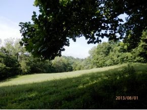 0 Danny Mathes Road, Unit 89 Elizabethton, TN 37643 - Photo 4 of 12 Land View