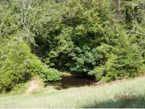 0 Danny Mathes Road, Unit 89 Elizabethton, TN 37643 - Photo 5 of 12 Farm Pond