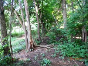 0 Danny Mathes Road, Unit 89 Elizabethton, TN 37643 - Photo 7 of 12 Woods