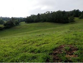 0 Danny Mathes Road, Unit 89 Elizabethton, TN 37643 - Photo 8 of 12 Land View