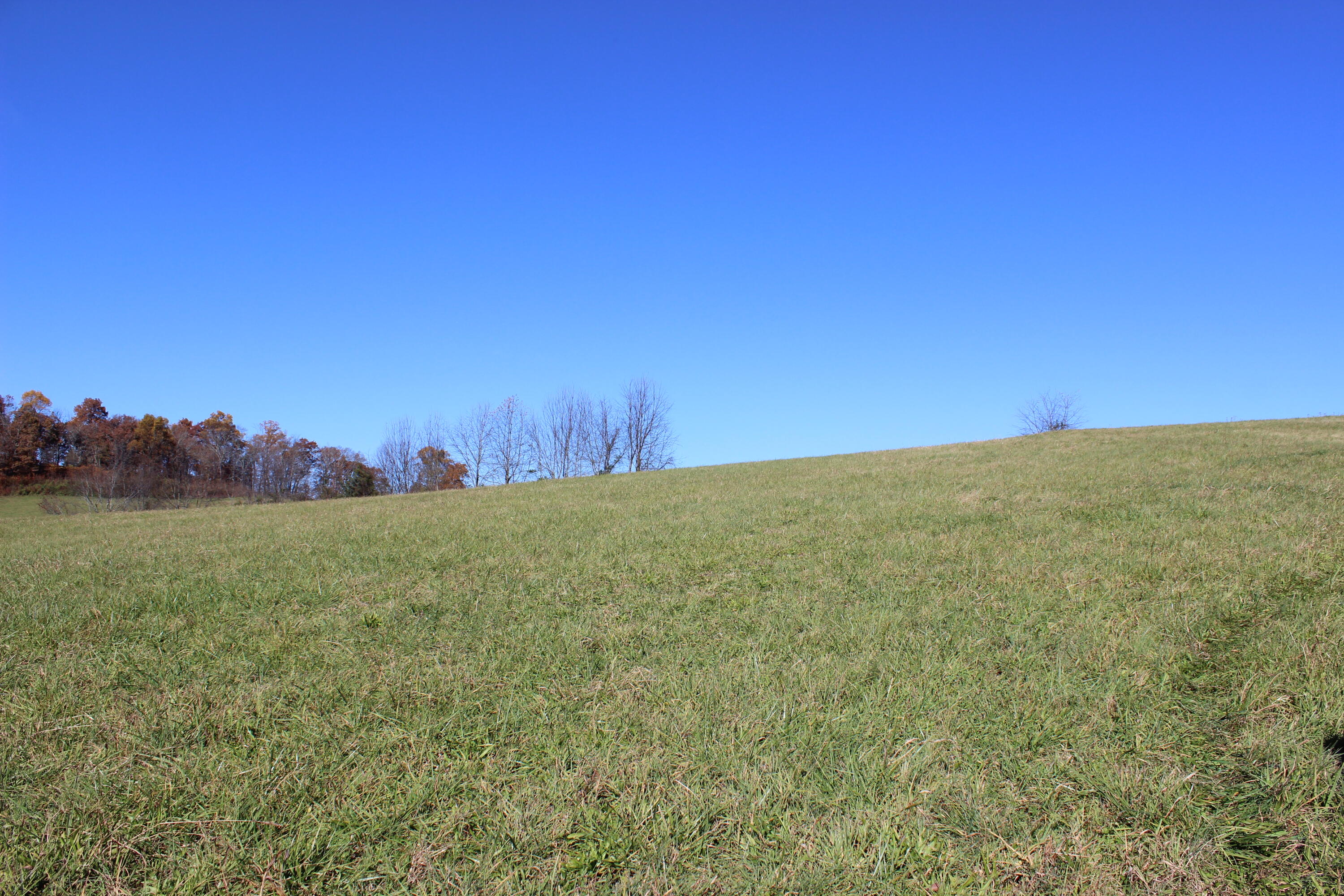 5-7 Providence/ Tom Lewis Road, Unit 5 & 7 Limestone, TN 37681 - Photo 2 of 9 IMG_8327
