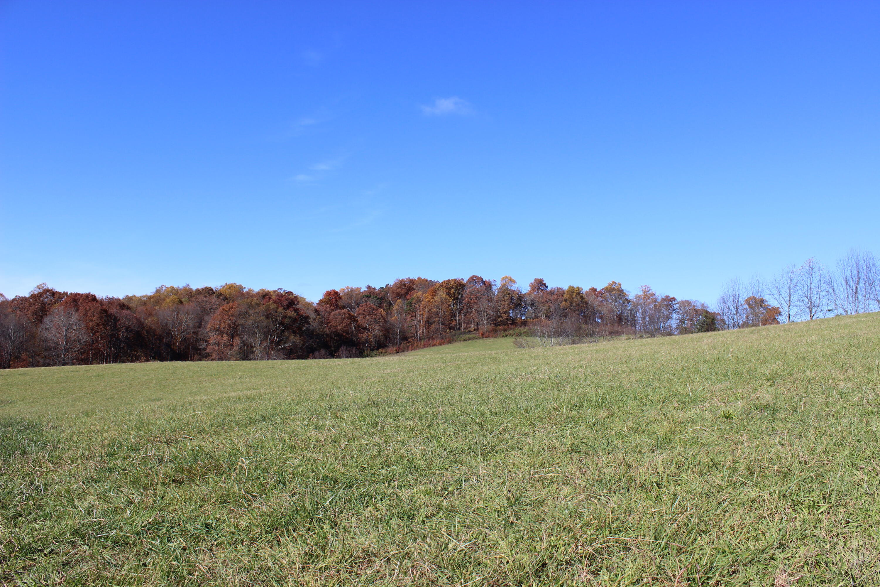 5-7 Providence/ Tom Lewis Road, Unit 5 & 7 Limestone, TN 37681 - Photo 3 of 9 IMG_8328