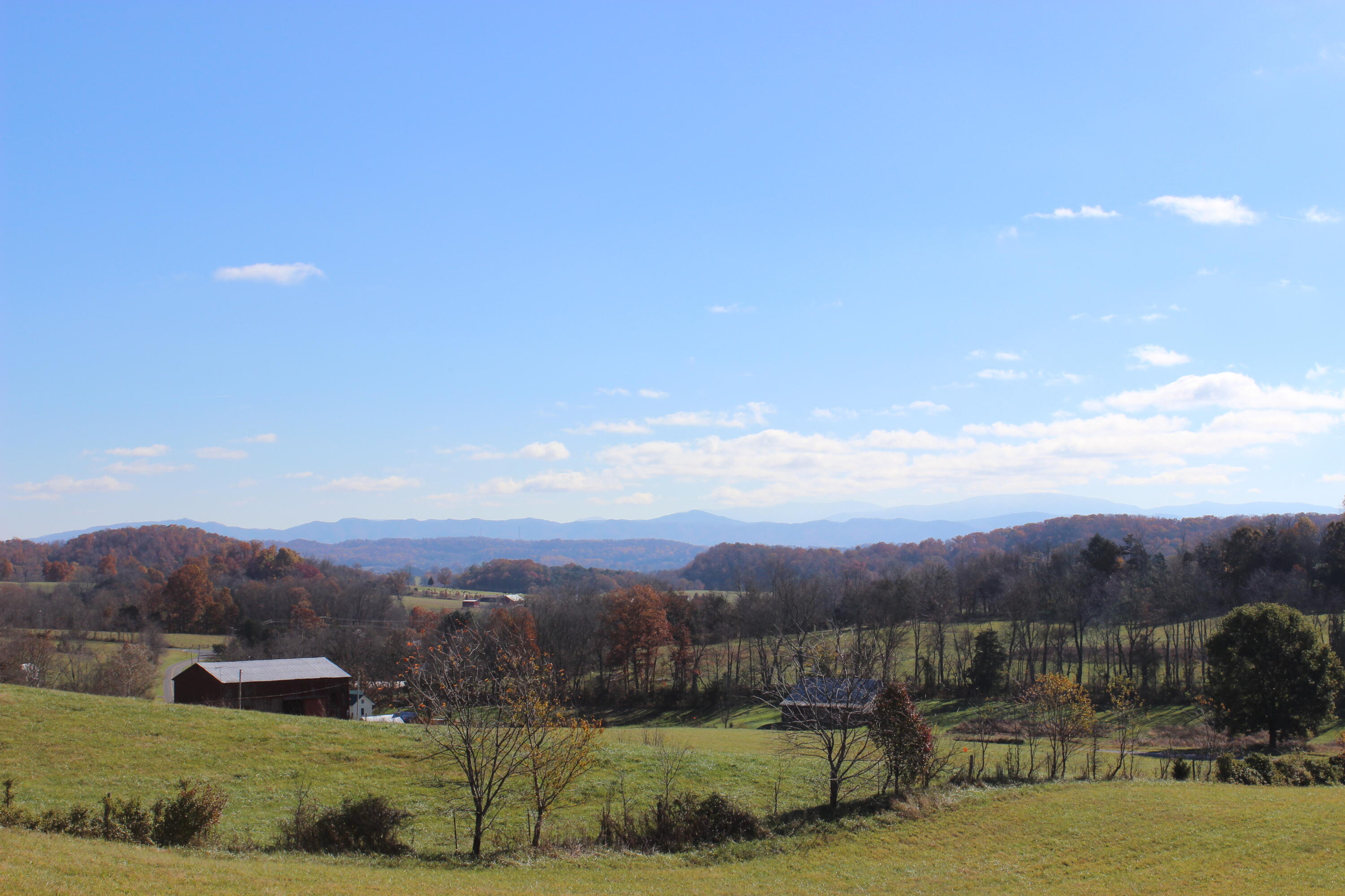 5-7 Providence/ Tom Lewis Road, Unit 5 & 7 Limestone, TN 37681 - Photo 6 of 9 IMG_8333