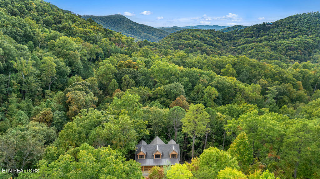 4406 Long Rifle Road Sevierville, TN 37862 - Photo 51 of 59 DJI_0794-HDR