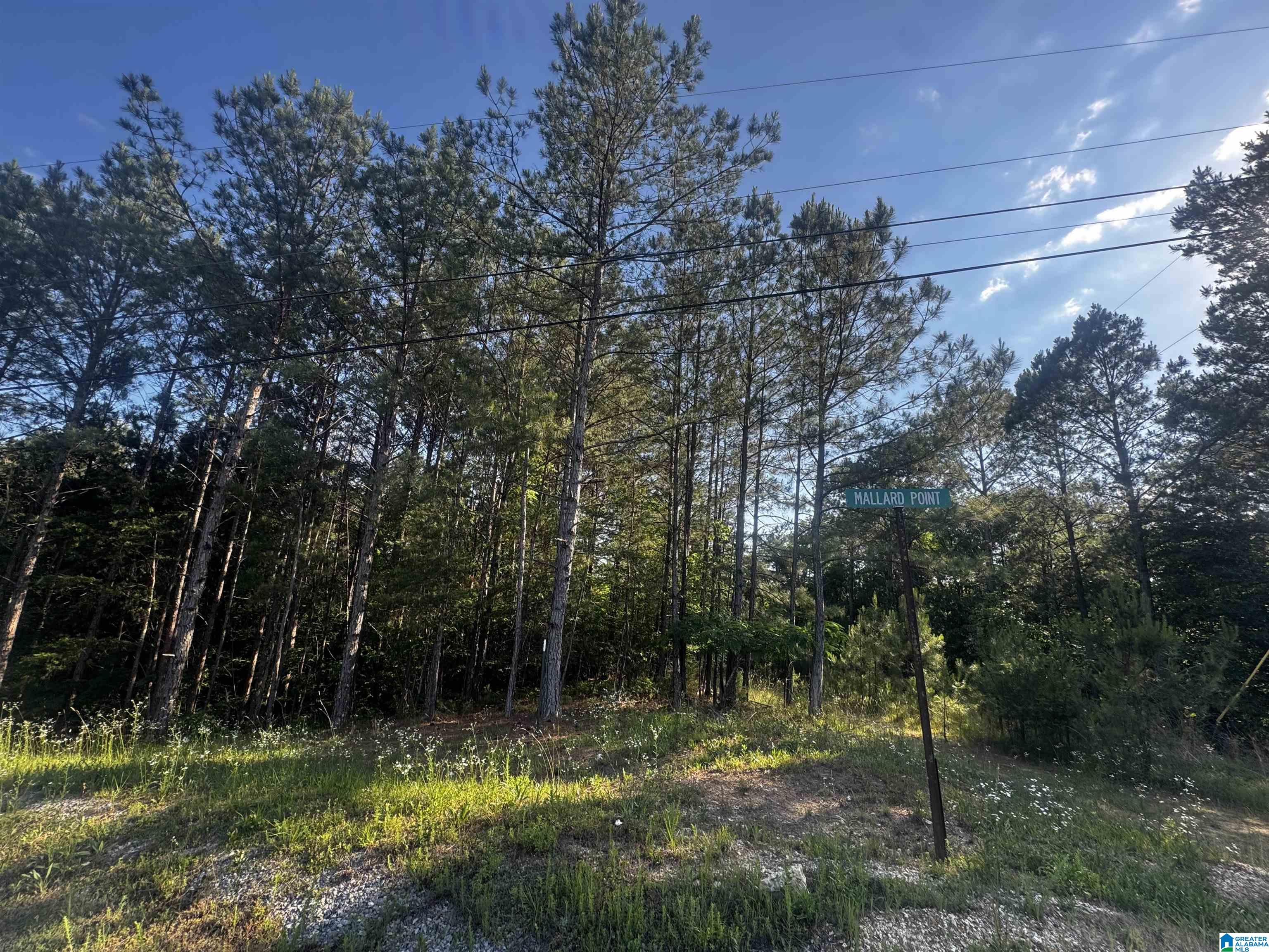 0 Mallard Point, Unit 6 Warrior, AL 35180 - Photo 6 of 13