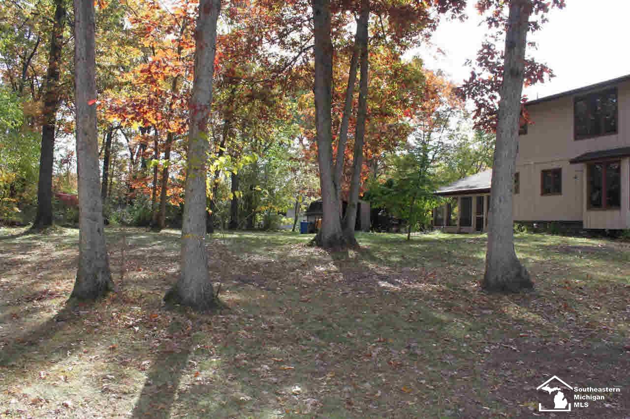 3813 Douglas Road Ida, MI 48140 - Photo 4 of 25 Gallery Image 4