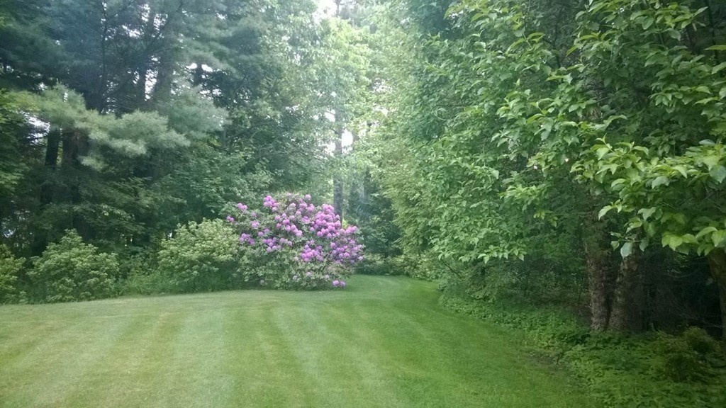 34 Bemis Road Dedham, MA 02026 - Photo 21 of 23 Gallery Image 21