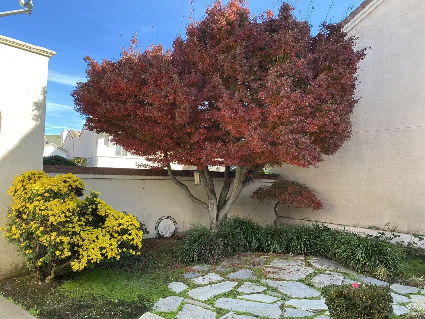 2190 Canyon Lakes Drive San Ramon, CA 94583 - Photo 2 of 56