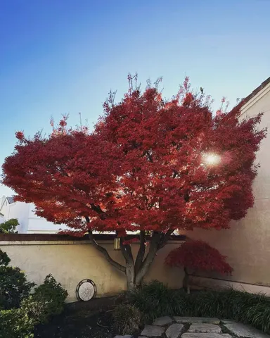 $1,399,999 | 2190 Canyon Lakes Drive, San Ramon, CA 94583