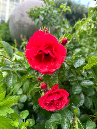 $637,000 | 609 South Meadowbrook Lane, Waunakee, WI 53597