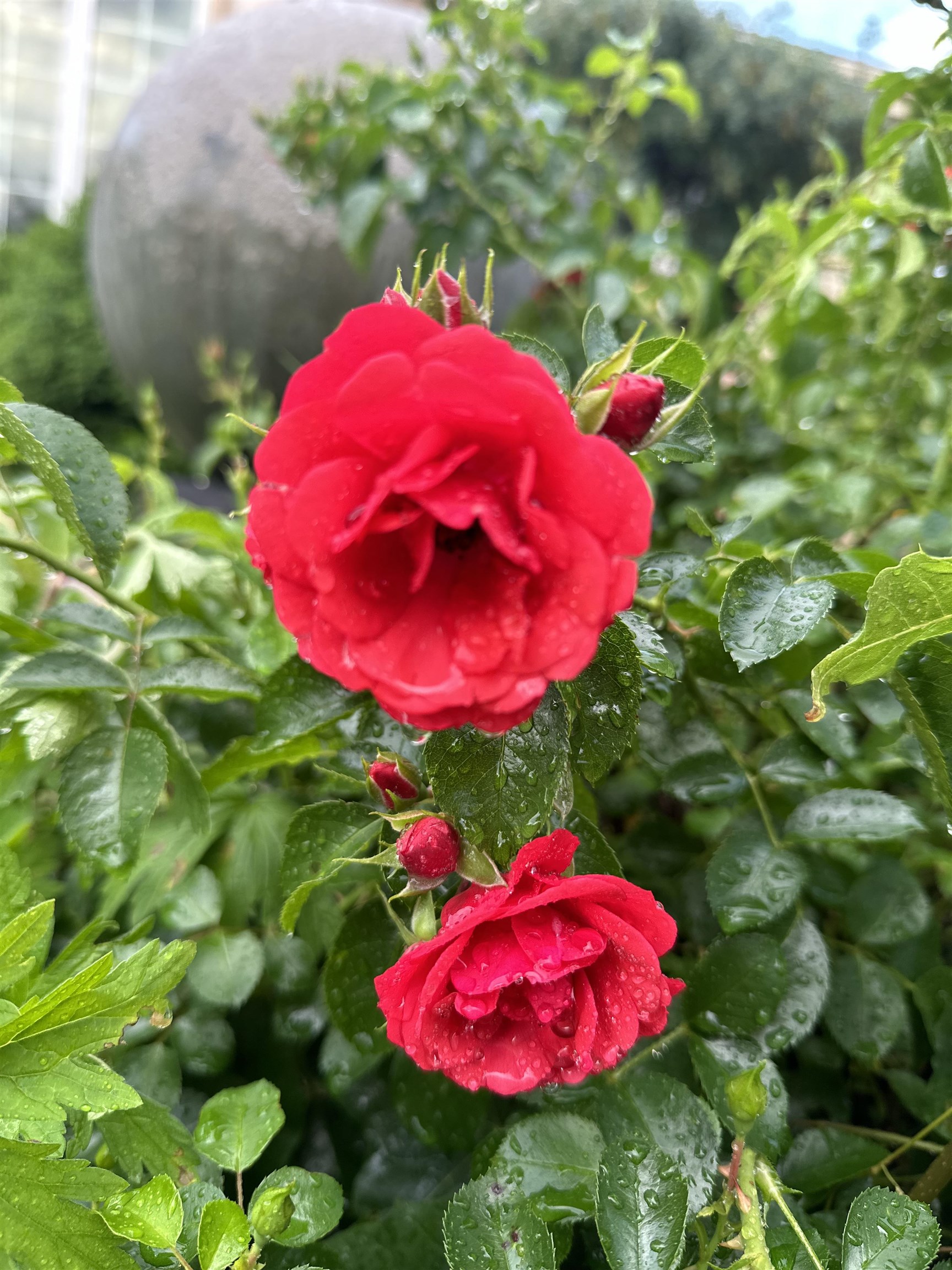 609 South Meadowbrook Lane Waunakee, WI 53597 - Photo 45 of 48