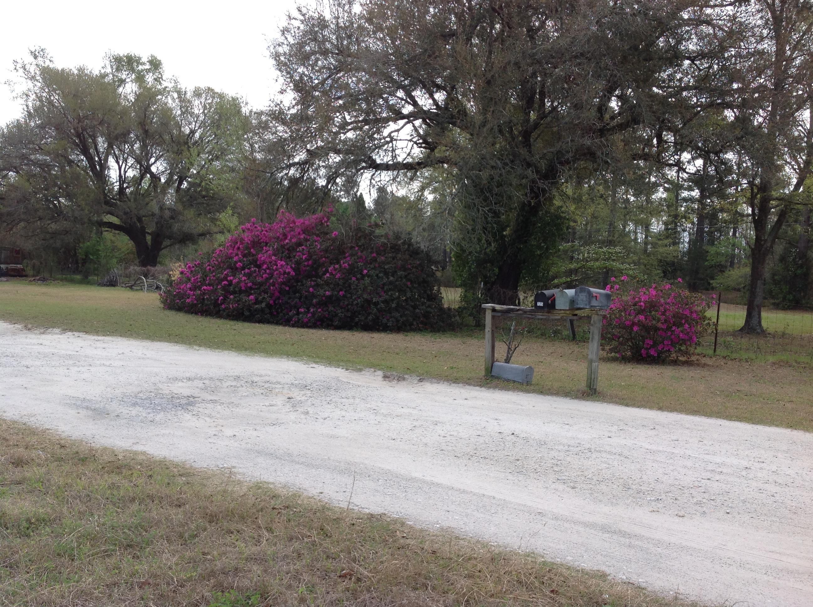 2708 Harristown Road St. Stephen, SC 29479 - Photo 22 of 31 Entrance