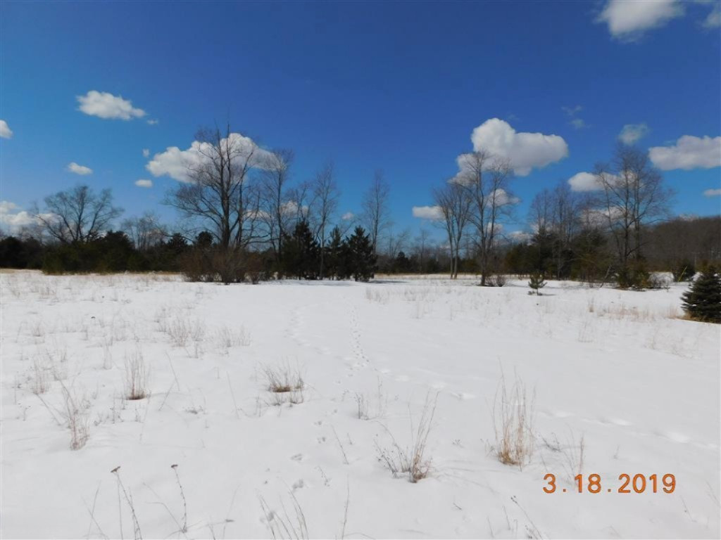 8931 East 7 Mile Road Luther, MI 49656 - Photo 4 of 17 mdo2
