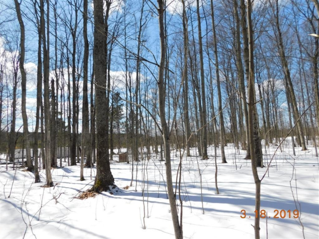 8931 East 7 Mile Road Luther, MI 49656 - Photo 6 of 17 site1
