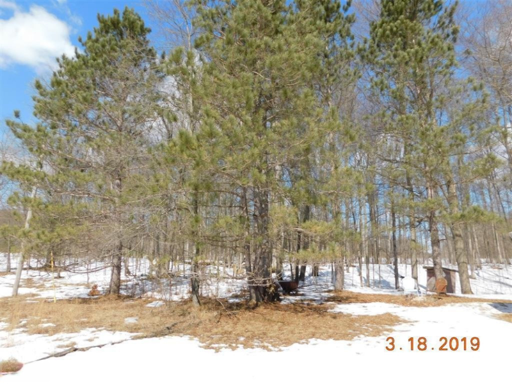 8931 East 7 Mile Road Luther, MI 49656 - Photo 8 of 17 site7