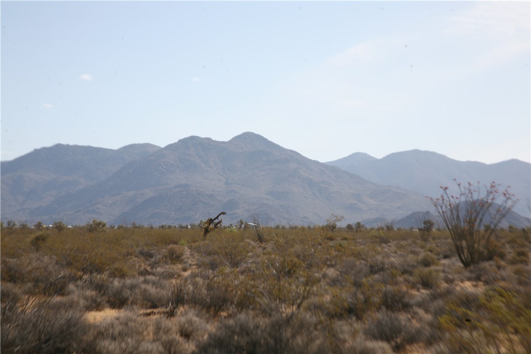 245-18-266 Alan Road Yucca, AZ 86438 - Photo 6 of 54