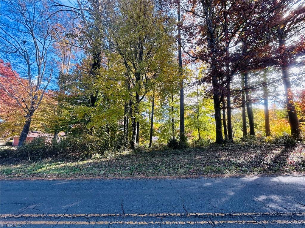 Tbd Old Springs Road Mount Airy, NC 27030 - Photo 14 of 17
