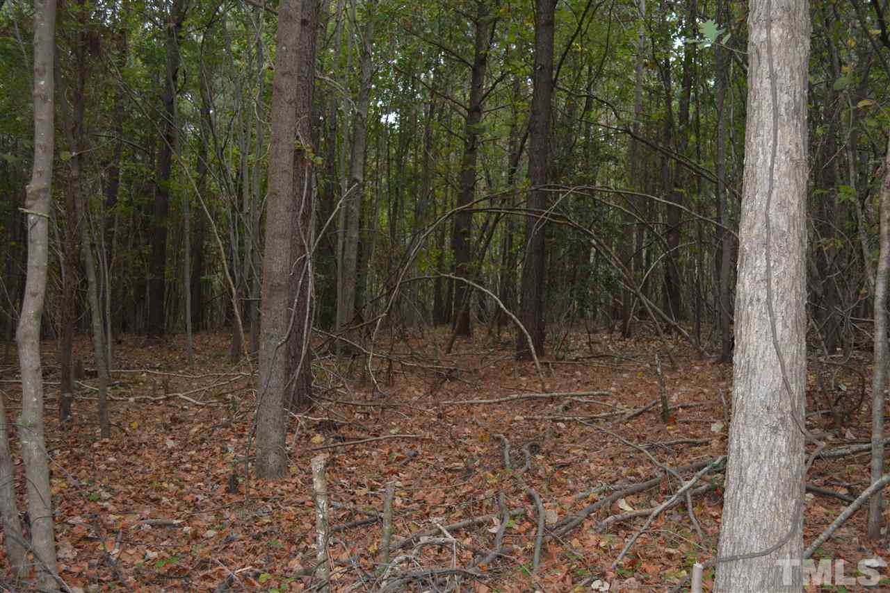 0 Pete Roberson Road Moncure, NC 27559 - Photo 1 of 27 Gallery Image 1