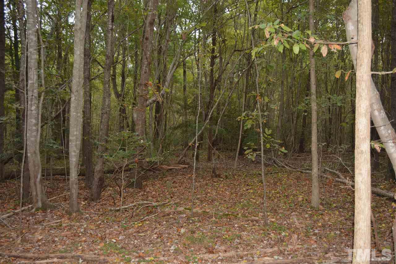 0 Pete Roberson Road Moncure, NC 27559 - Photo 22 of 27 Gallery Image 22