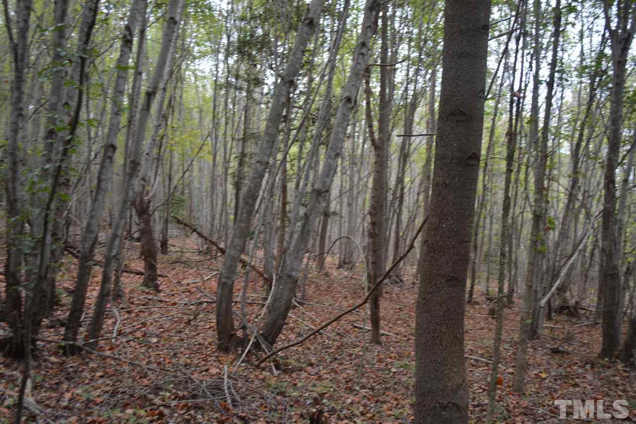 0 Pete Roberson Road Moncure, NC 27559 - Photo 23 of 27 Gallery Image 23