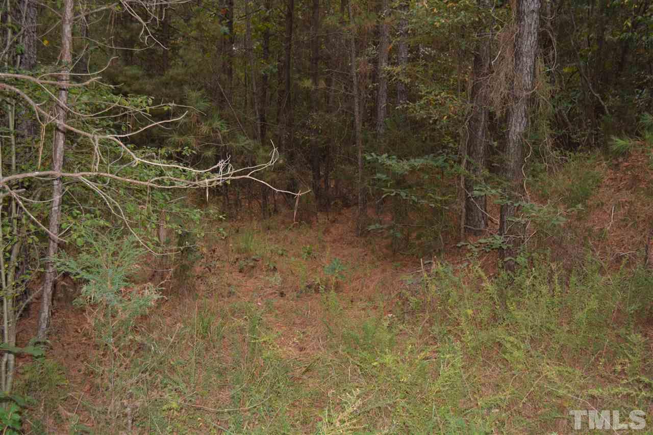 0 Pete Roberson Road Moncure, NC 27559 - Photo 4 of 27 Gallery Image 4