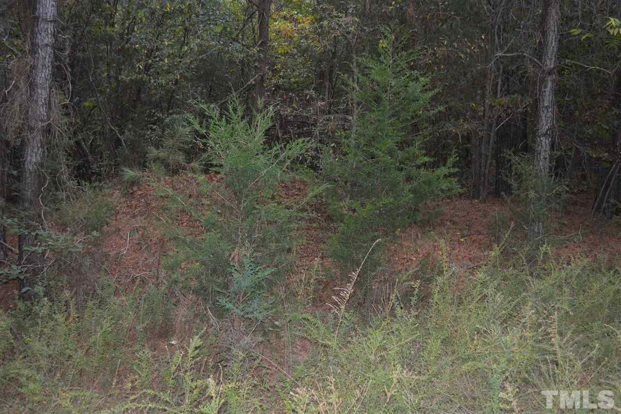 0 Pete Roberson Road Moncure, NC 27559 - Photo 5 of 27 Gallery Image 5