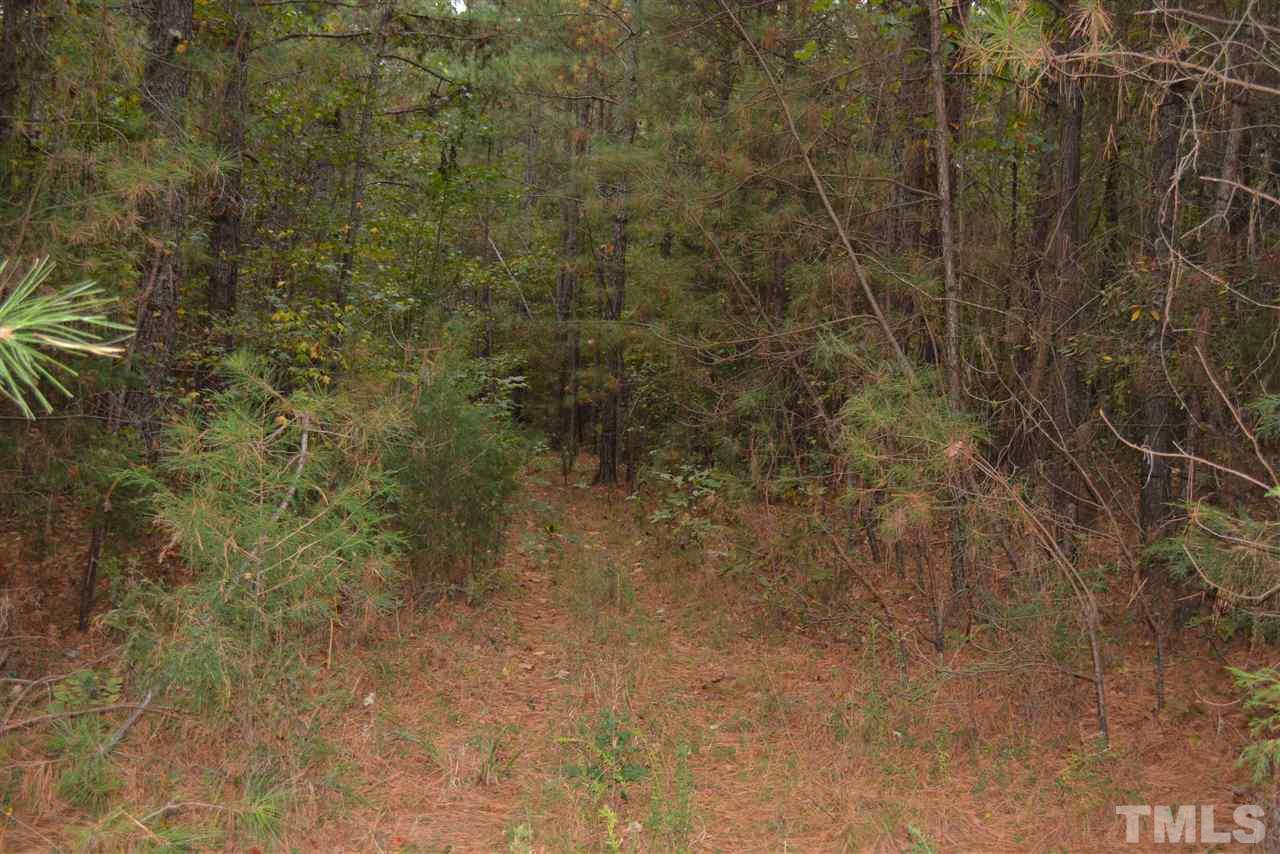 0 Pete Roberson Road Moncure, NC 27559 - Photo 7 of 27 Gallery Image 7