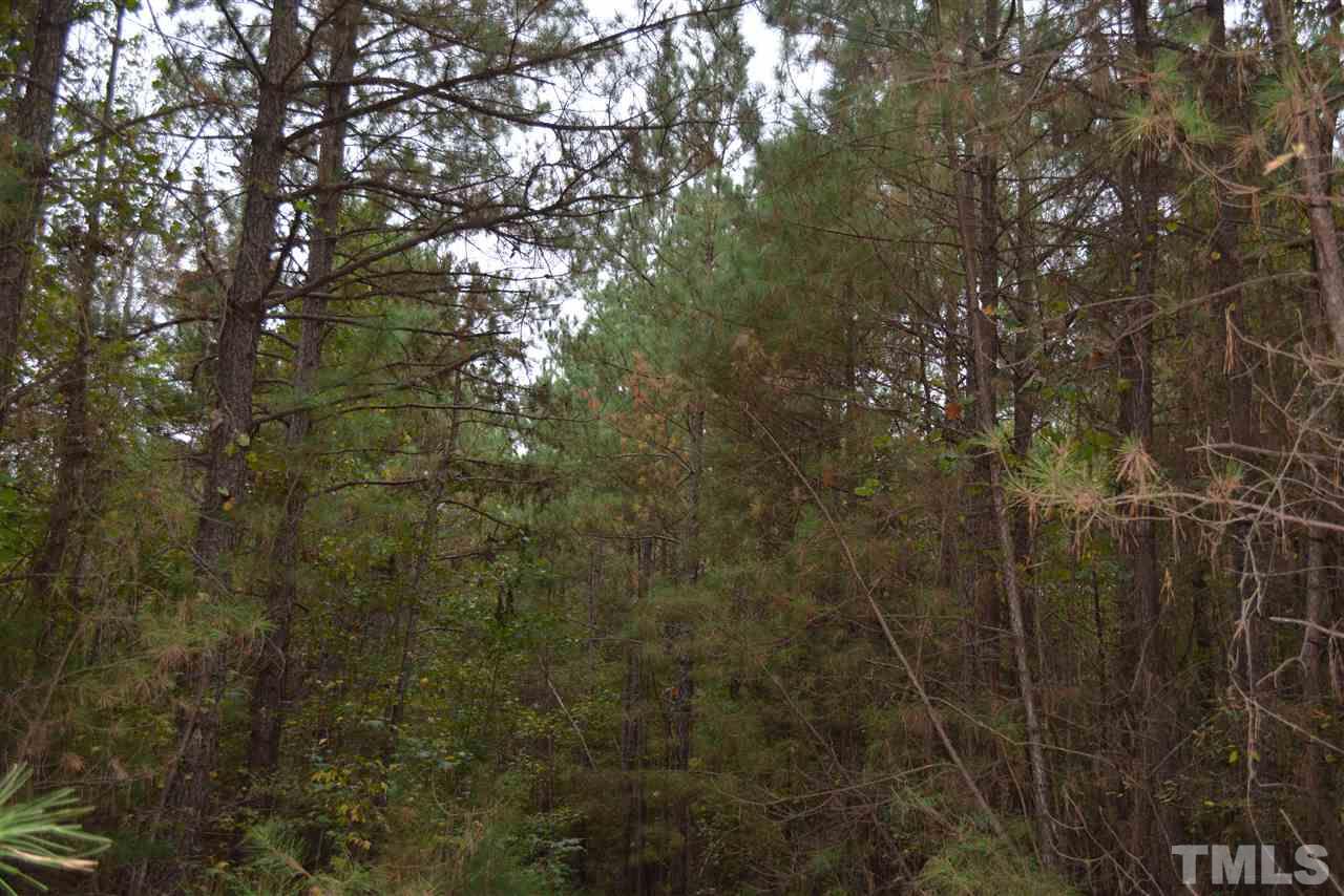 0 Pete Roberson Road Moncure, NC 27559 - Photo 8 of 27 Gallery Image 8