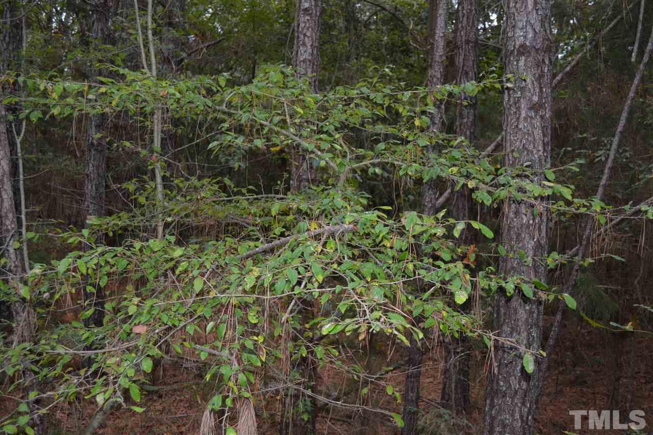0 Pete Roberson Road Moncure, NC 27559 - Photo 9 of 27 Gallery Image 9