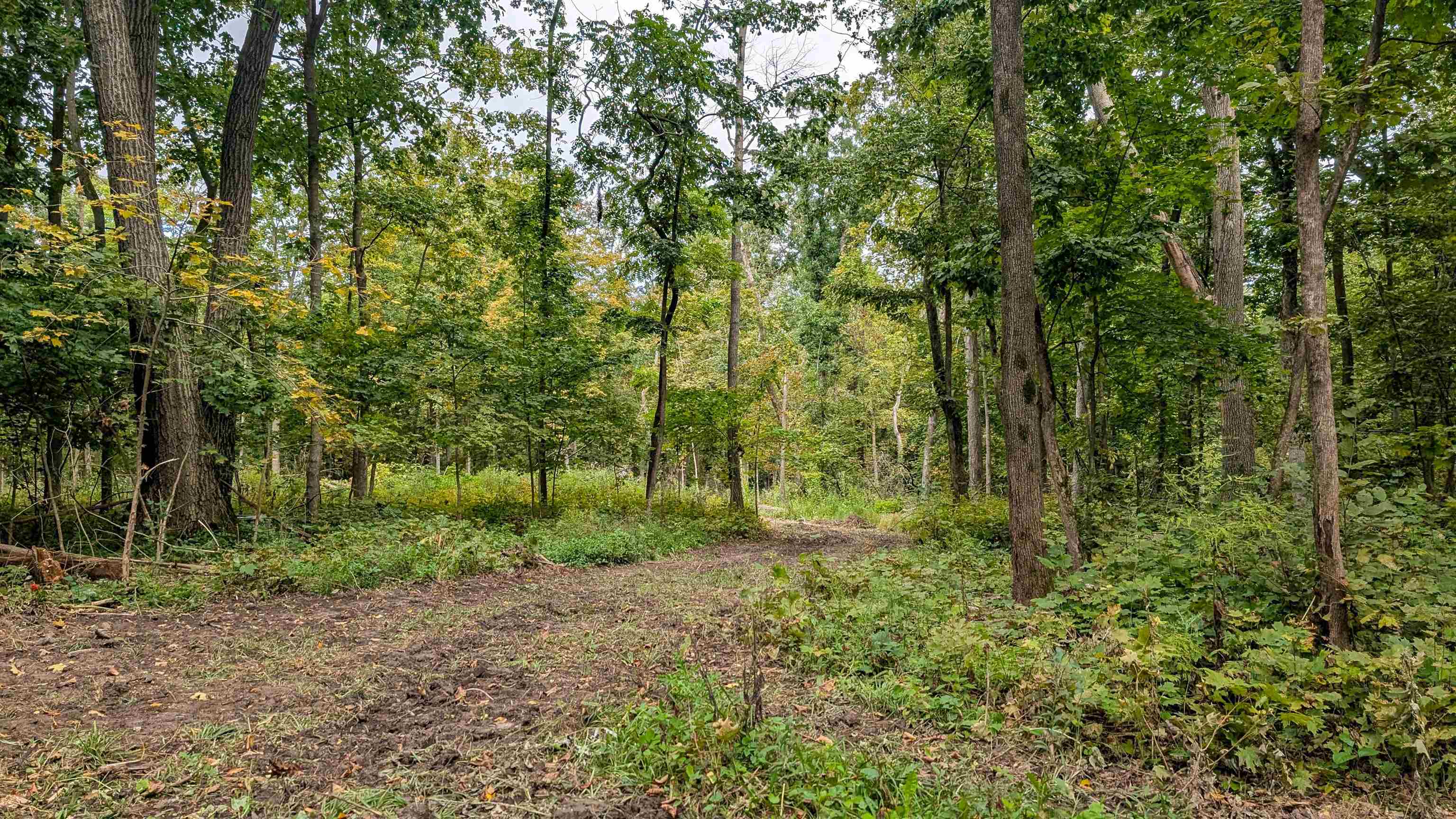 2222 County Road Y Mineral Point, WI 53565 - Photo 8 of 13