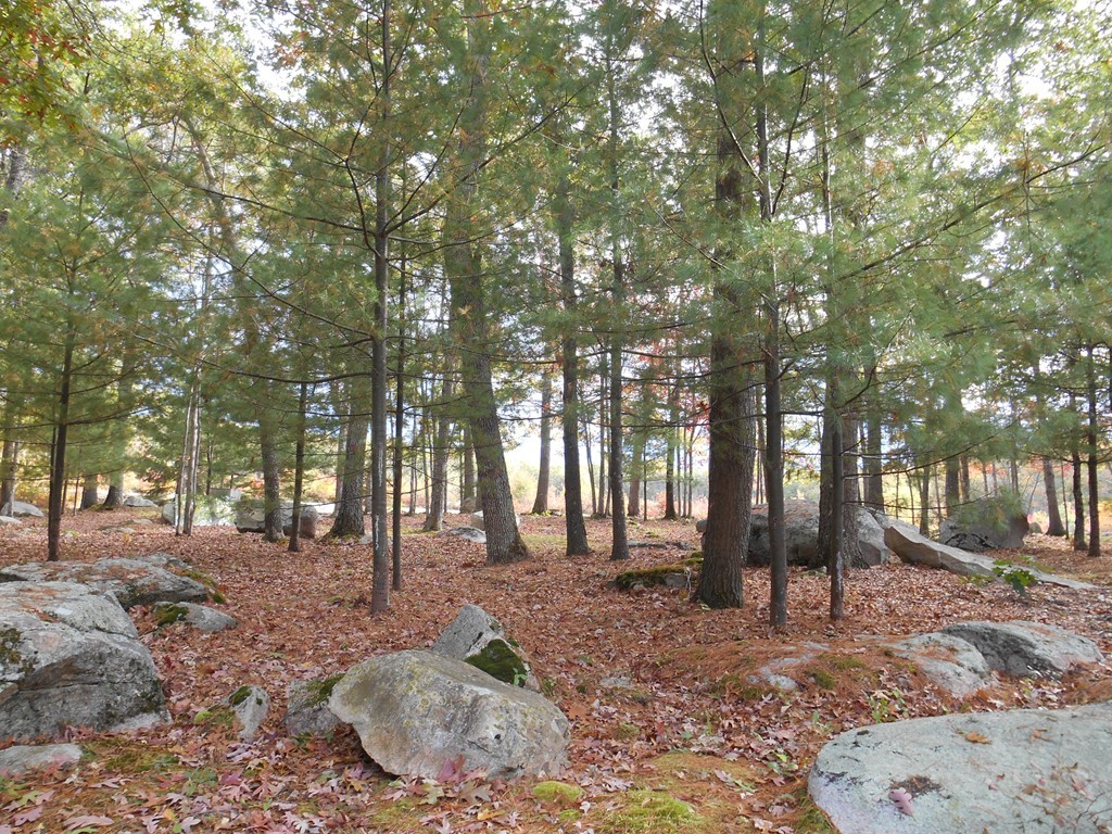 119 Douglas Road Webster, MA 01570 - Photo 28 of 30 Gallery Image 28