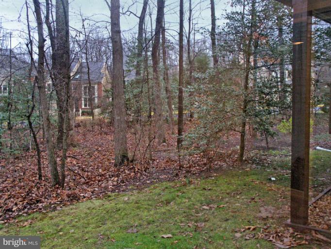 11561 Hemingway Drive Reston, VA 20194 - Photo 29 of 30 Backyard