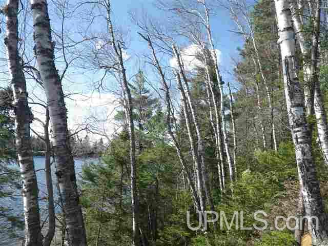 Tbd Grant Lake Road, Unit PARCEL 4 Republic, MI 49879 - Photo 6 of 8