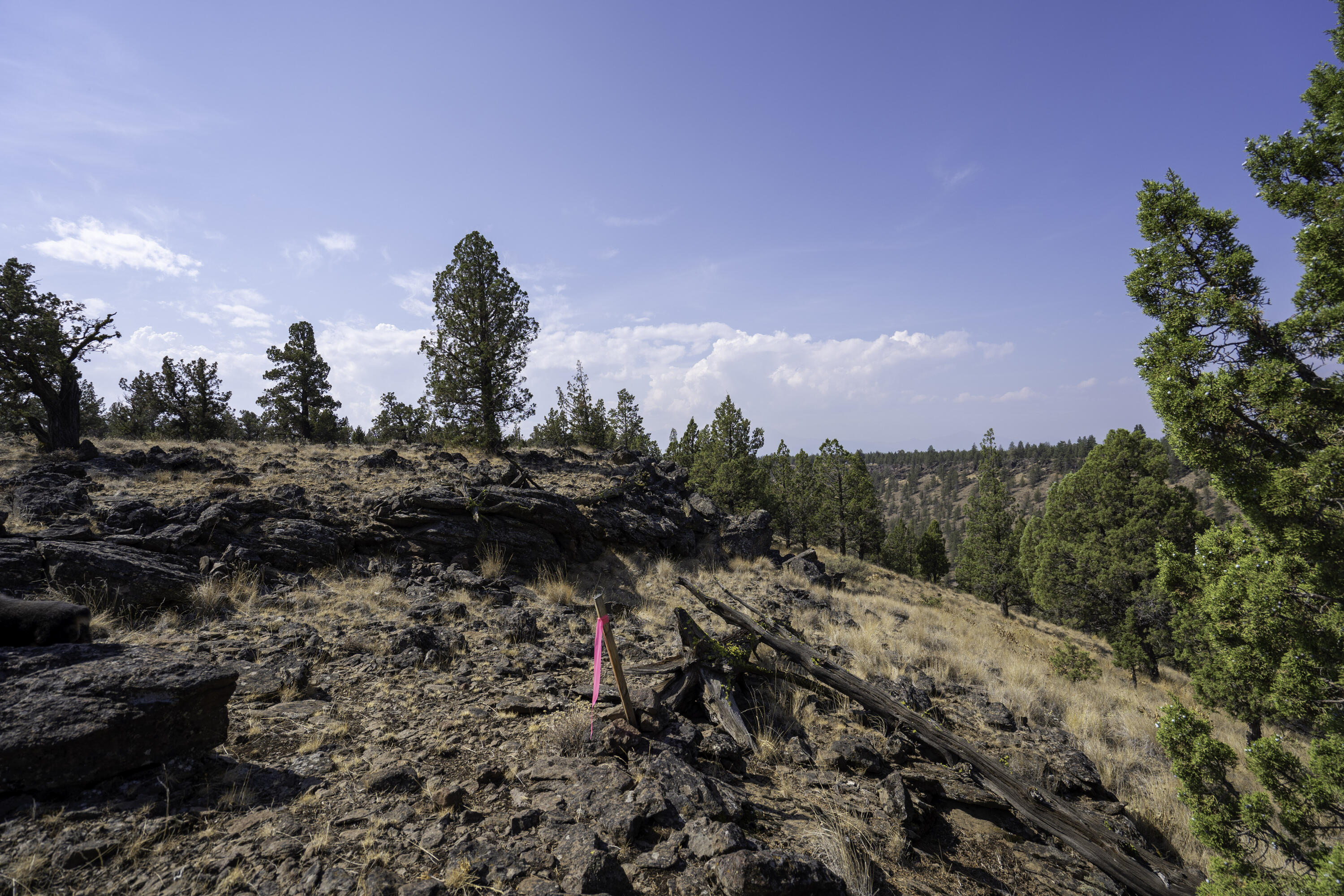 69740 McKenzie Canyon Road Sisters, OR 97759 - Photo 31 of 45 North Rim Boundary Pin