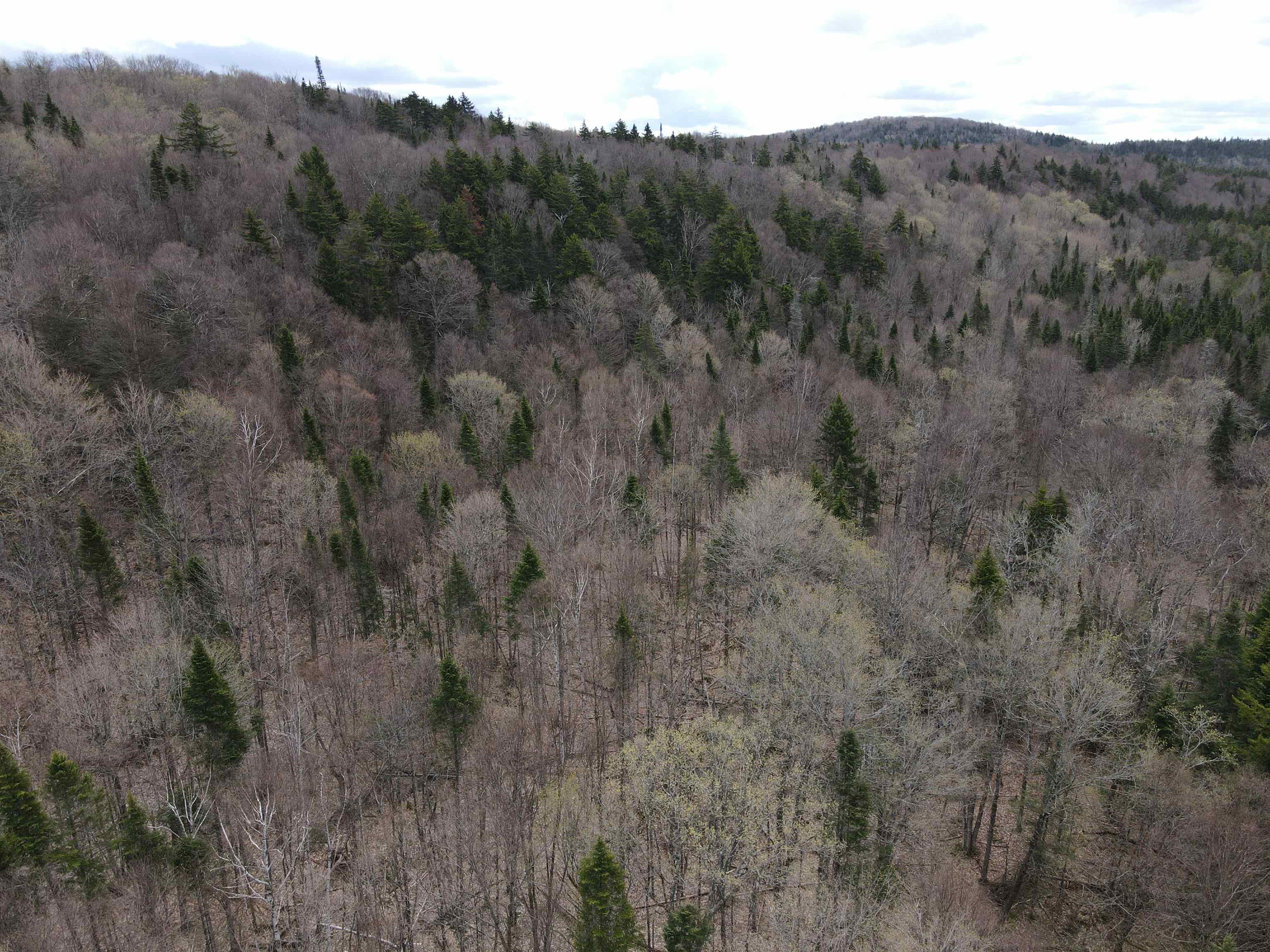 0 Andersonville Road Barton, VT 05875 - Photo 11 of 13