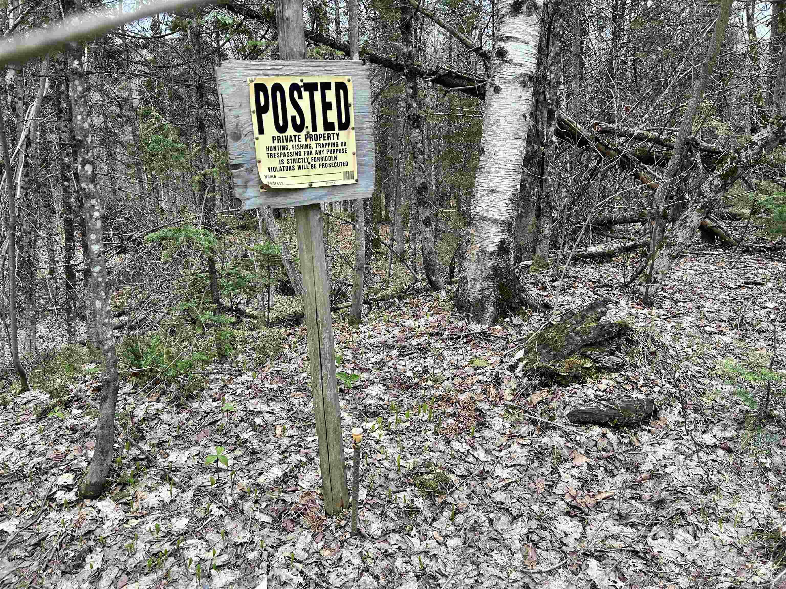 0 Andersonville Road Barton, VT 05875 - Photo 12 of 13