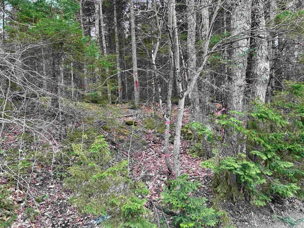 $75,000 | 0 Andersonville Road, Barton, VT 05875