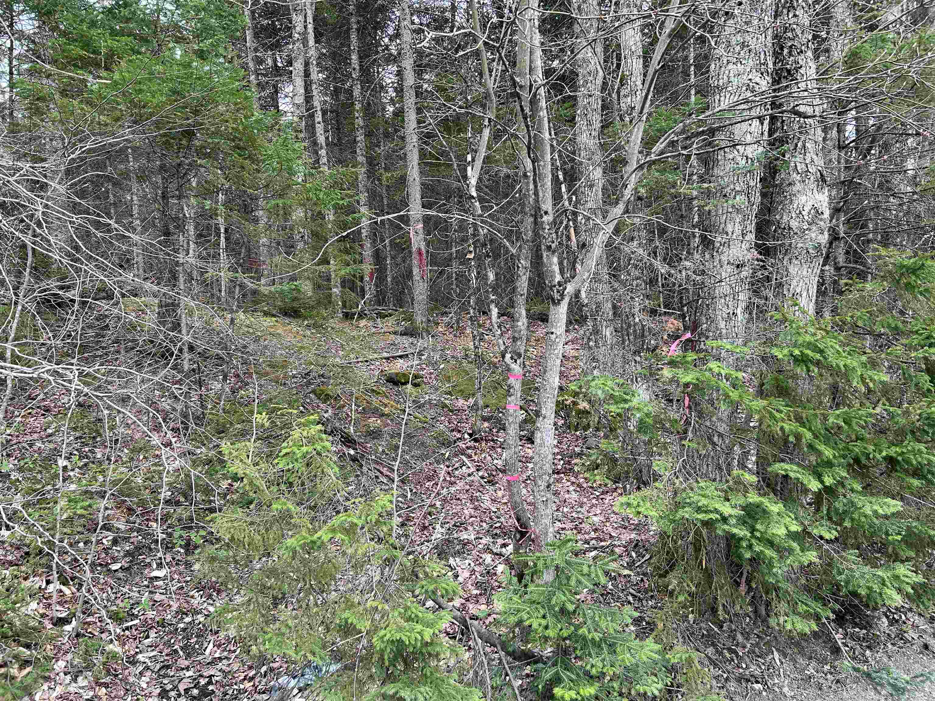 0 Andersonville Road Barton, VT 05875 - Photo 13 of 13