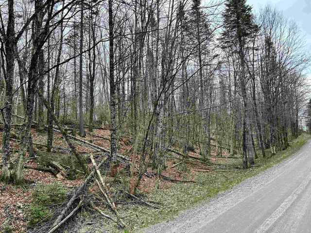 $75,000 | 0 Andersonville Road, Barton, VT 05875